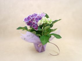 Для декорирования цветов 52